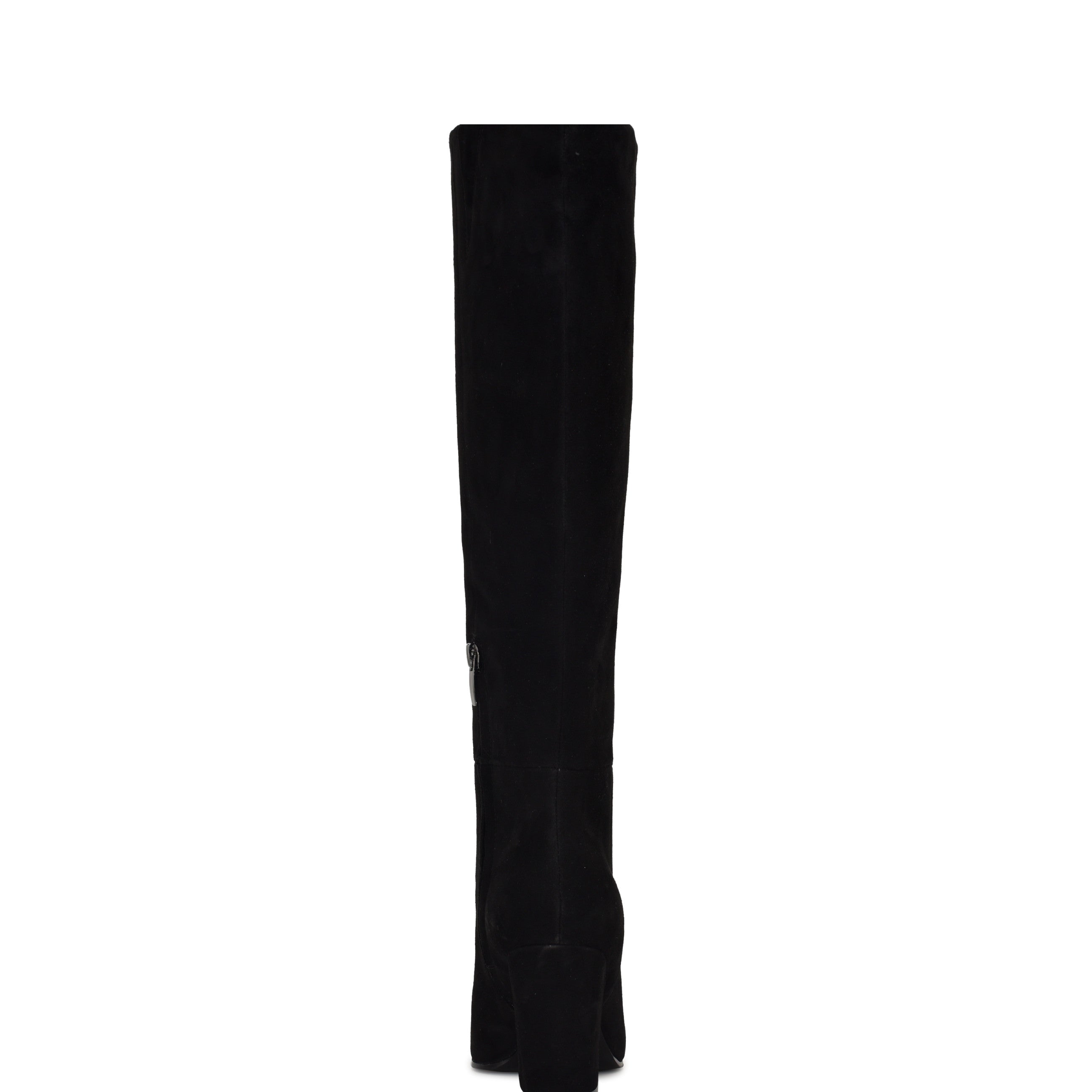 Adera Pointy Toe Tall Shaft Dress Boots
