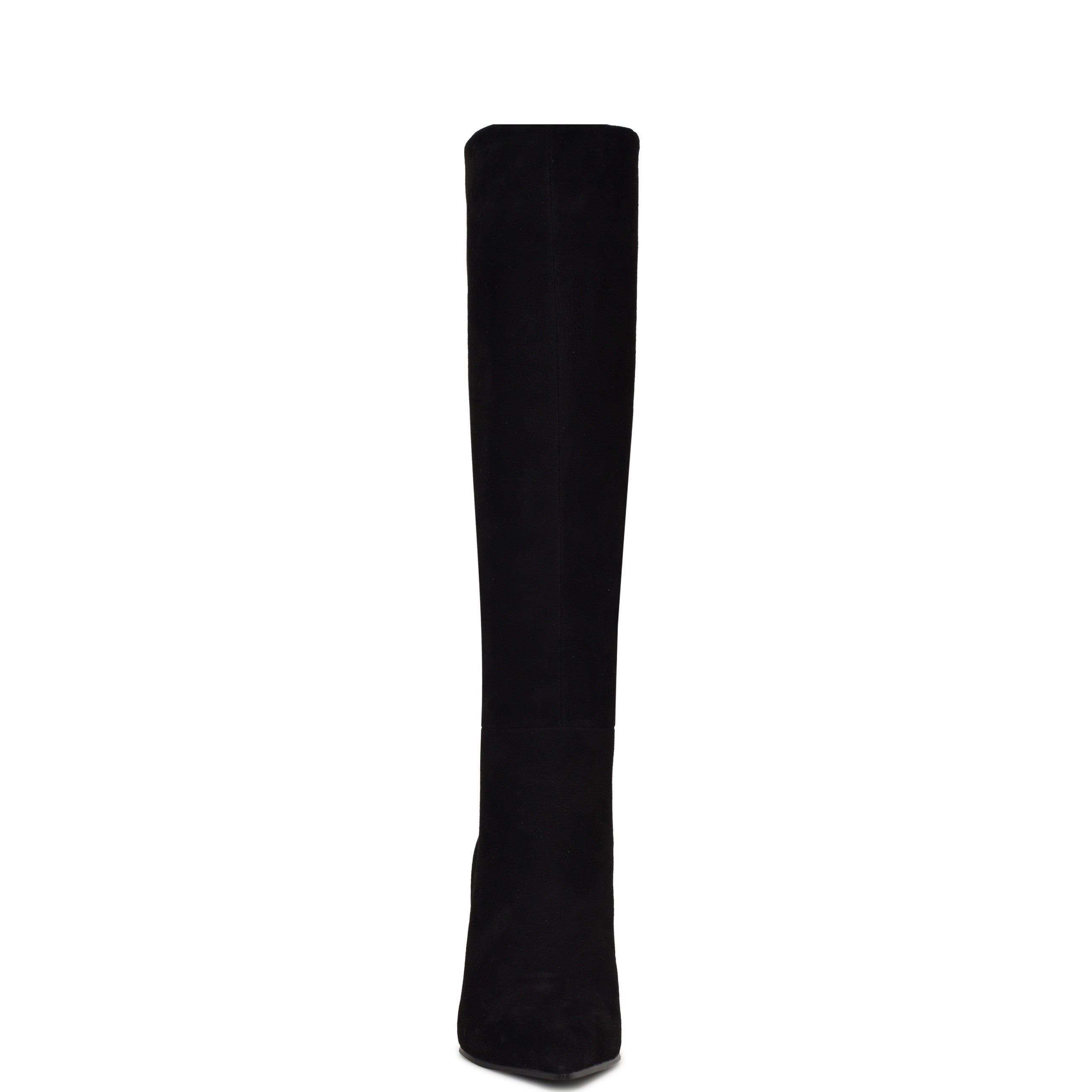 Adera Pointy Toe Tall Shaft Dress Boots