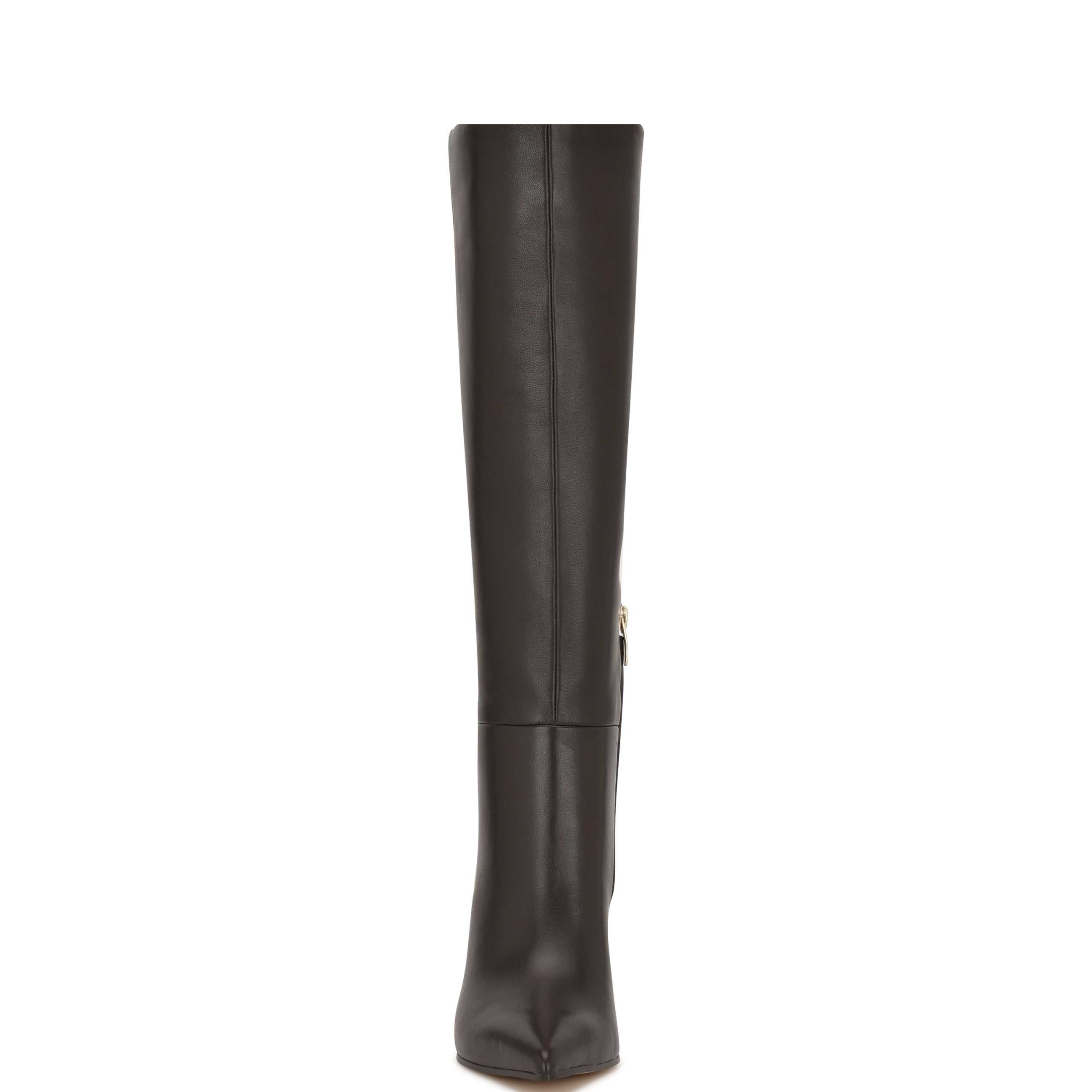 Adera Pointy Toe Tall Shaft Dress Boots