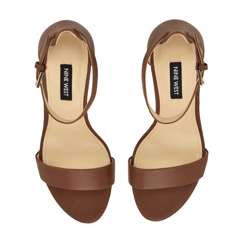 Pruce Ankle Strap Block Heel Sandals