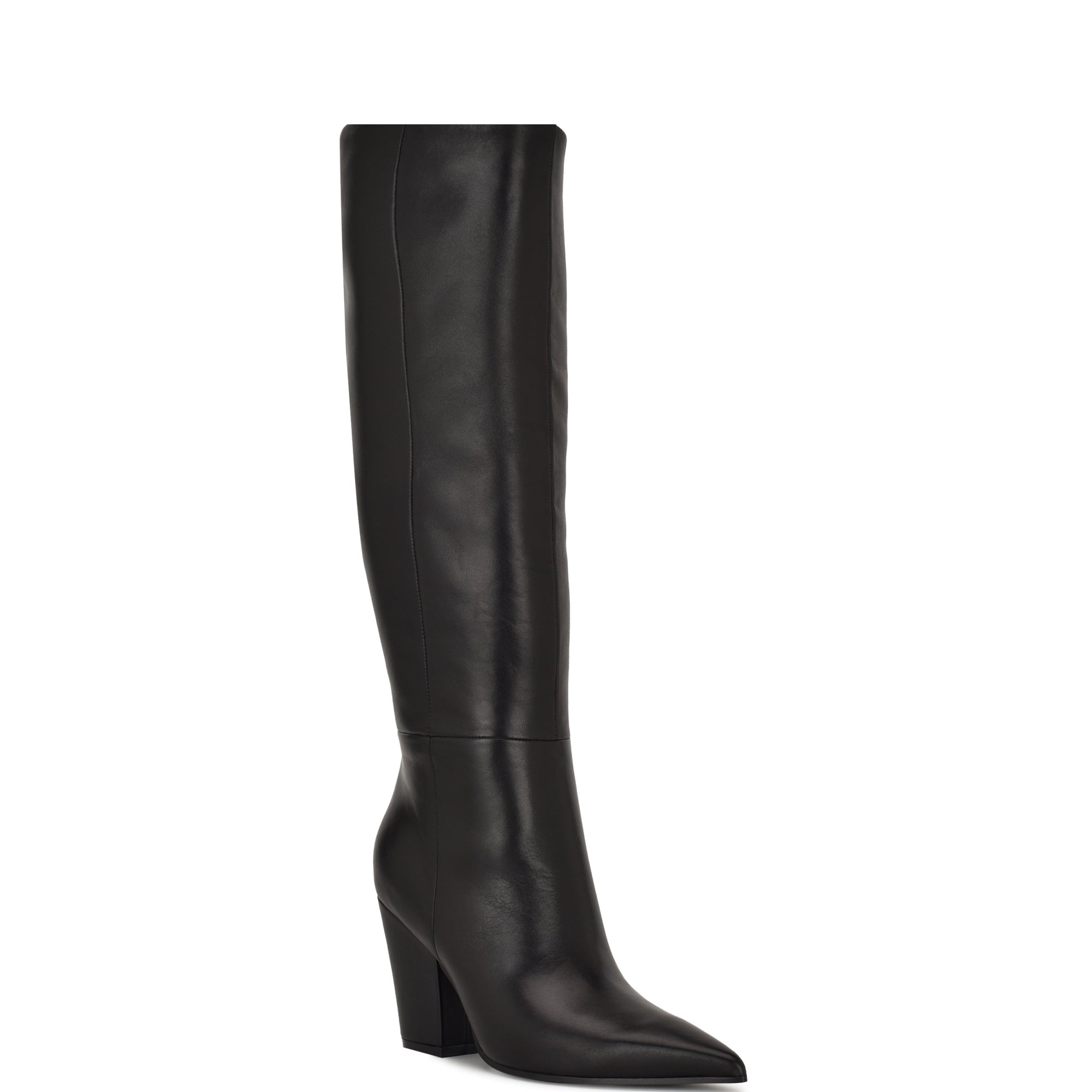 Adera Pointy Toe Tall Shaft Dress Boots