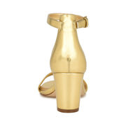 Pruce Ankle Strap Block Heel Sandals