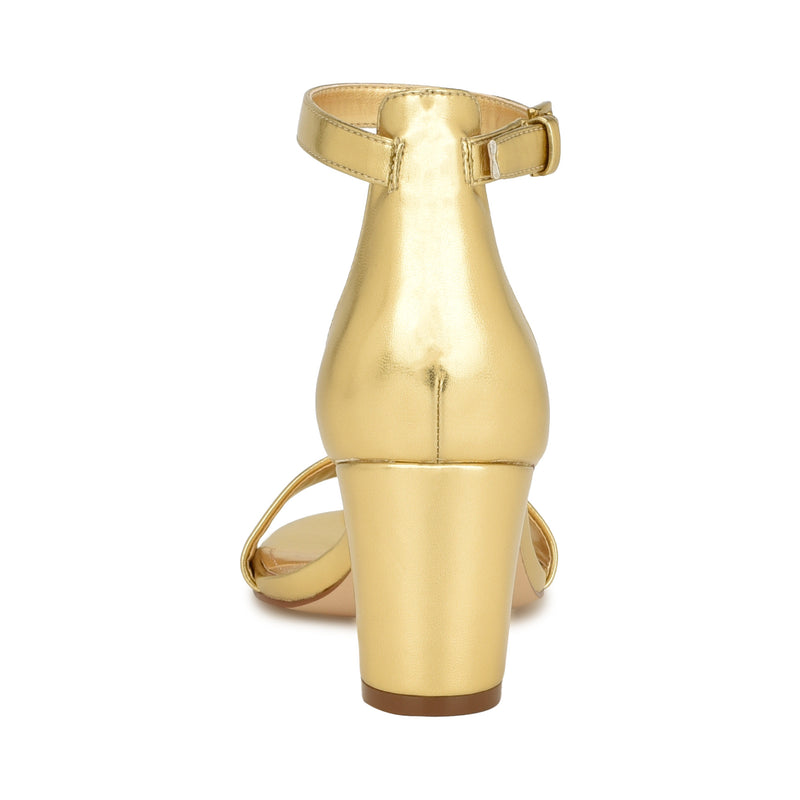 Pruce Ankle Strap Block Heel Sandals