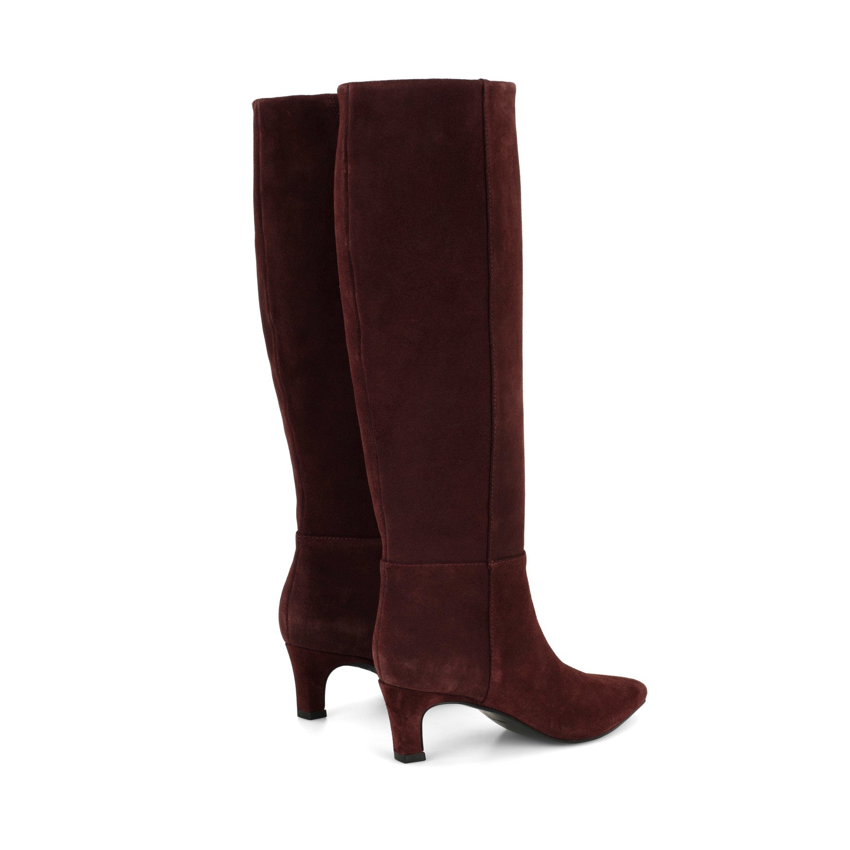 Paulene Knee High Leather Boots