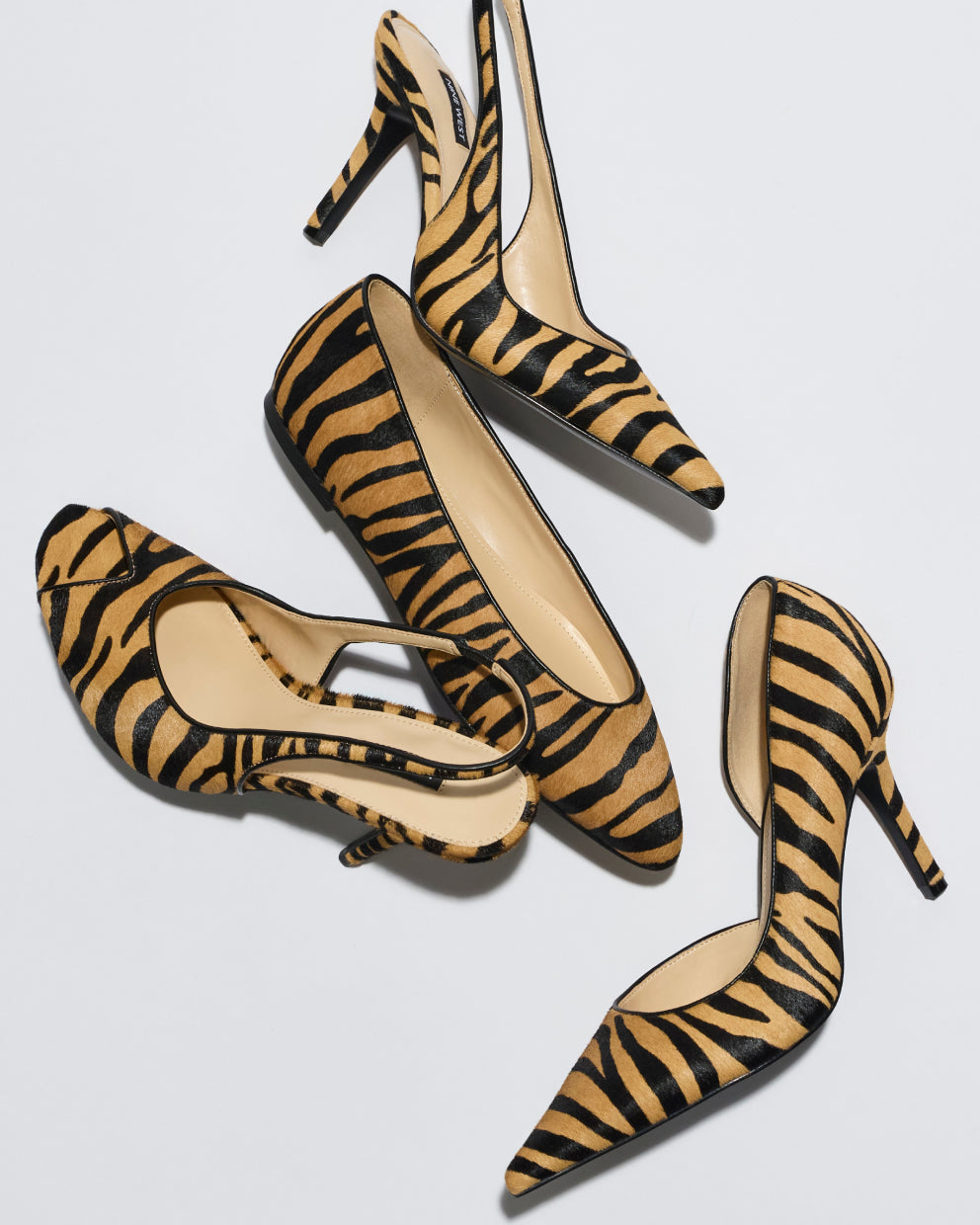 Zebra Print Shoes Collection
