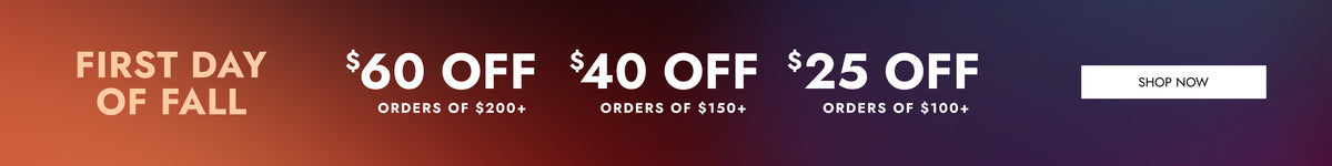 A promotional banner with a dark-to-light gradient background featuring text that reads 'FIRST DAY OF FALL' and discount offers: '$60 OFF' for orders of $200+, '$40 OFF' for orders of $150+, and '$25 OFF' for orders of $100+. A white 'SHOP NOW' button appears on the right.