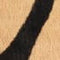 Arlene Pointy Toe Pumps